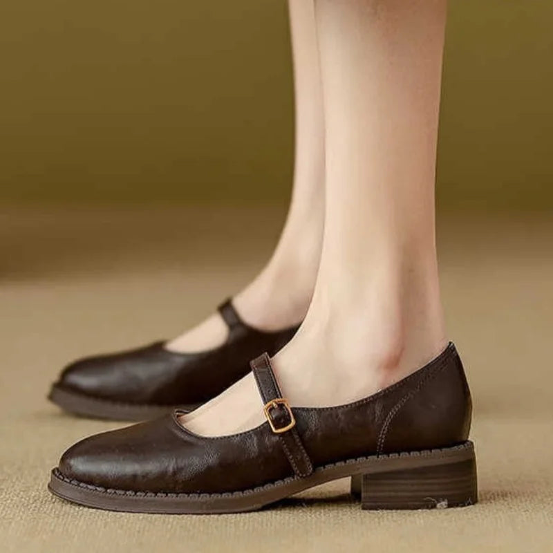 Mary Jane Shoes for Women Round Toe Adjustable Strap Low Block Heel