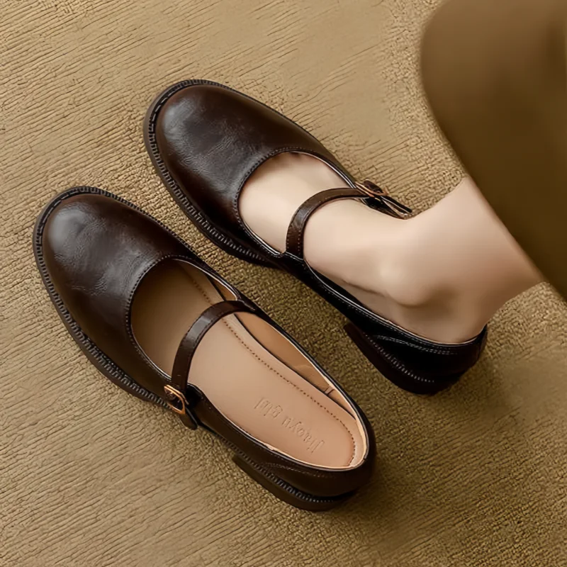 Mary Jane Shoes for Women Round Toe Adjustable Strap Low Block Heel
