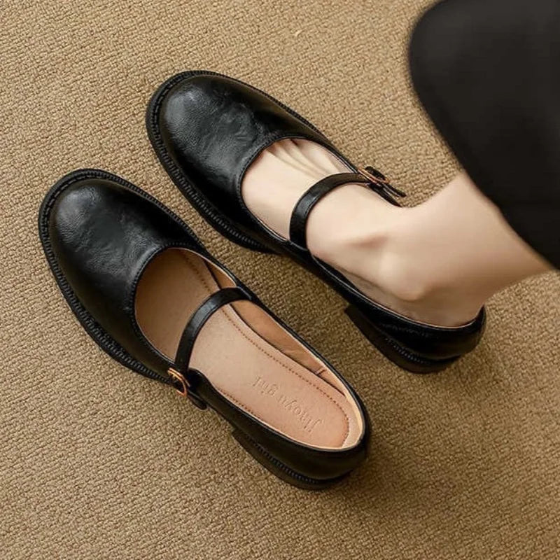 Mary Jane Shoes for Women Round Toe Adjustable Strap Low Block Heel